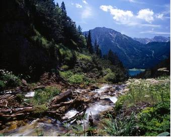 Cordial Familien & Vital Hoteldorf