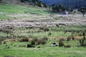 Lodge Currawong Lakes Tasmania
