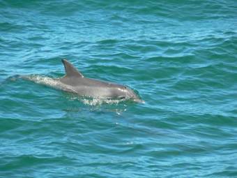 Waterfront Jervis Bay Escape Cooinda