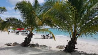 Worthing Beach Apartments