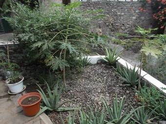 Bed & Breakfast Misurino