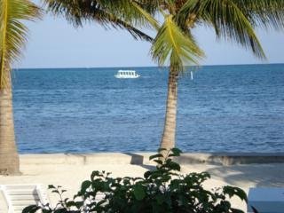 Hotel Belize Yacht Club Resort