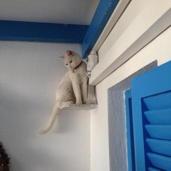 Apartamento Studios Panorama Drios