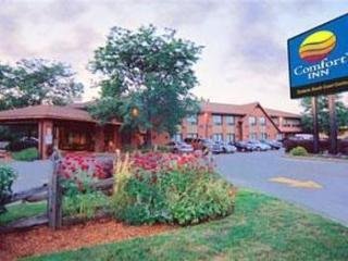 Hotel Comfort Inn (simcoe)