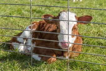 Agroturismo Riverfields