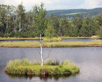 Hostal Penzion Vozz�k