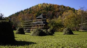 Woodenhouse Maramures