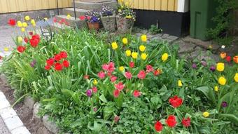 Apartamento Lilla Munkhagen