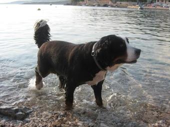 Hotel Fr�hst�ckspension Seeberghof