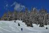 Bed & Breakfast Chalet Mur