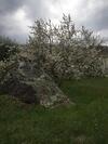 Apartamento Giardino Di Potentino