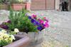 Hostal Zimmervermietung Gr�berhof