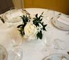 Hotel Albergo Alassio
