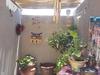 Apartamento Departamentos Angenino Lujan