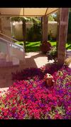 Paradice Hotel Luxury Suites