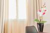 Hotel Ilisia
