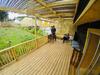 Vive Pichilemu Caba�a Para 4-5