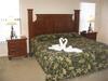Summer Dwelling 443