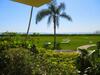 Apartamento Estero Beach & Tennis #801a Condo
