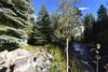Cross Creek 203 (condo)
