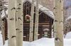 Apartamento Prospect Point 1505 206