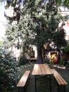 Apartamento Triestevillas Gretta