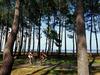 House La Pin�de