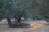 Bed & Breakfast A Loghja Di Cavallo Morto