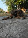 Bed & Breakfast A Loghja Di Cavallo Morto