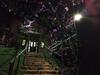 Bed & Breakfast Resid�ncia Balestra