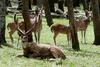 Agroturismo Estancia La Estrella