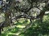 Apartamento Alojamiento Rural El Lario