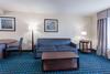 Hotel Wingate By Wyndham Schaumburg / Convention Center