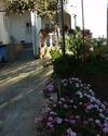 Apartments By The Sea Brodarica (sibenik) - 464