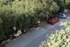 Apartments By The Sea Ubli (Lastovo) - 8355