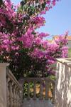 Apartments By The Sea Ugljan - 8301
