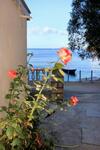 Apartments By The Sea Brna (Korcula) - 171