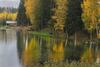 Peebu K�mping