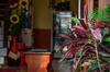 Hostal La Torre Inn