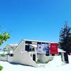 Hostal Muli Inn Surf View Maldives