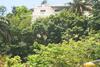 Bed & Breakfast Wataview