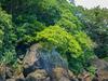 Hotel Matangi Private Island Resort - Adults Only