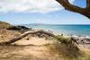 Apartamento Hale Kamaole #163