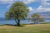 Apartamento Maui Parkshore 302 Condo