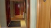 Hotel Guineu