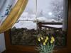 Hotel Rai-ski-domik