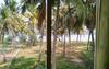 Blue Birds Homestay