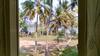 Blue Birds Homestay