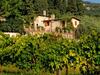 Locazione Turistica Borgo Maisale.3