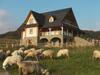 Hostal Willa Grywa?d